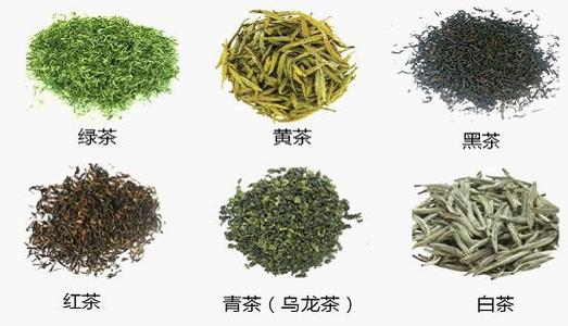 茶叶的知识大全6 中国六大茶类是什么？