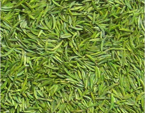中国十大名茶之每年清明谷雨之属于绿茶杯冲泡
