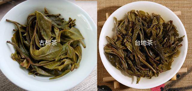 碎银子茶叶怎么做出来的茶中国普洱茶十大名牌是哪些排名