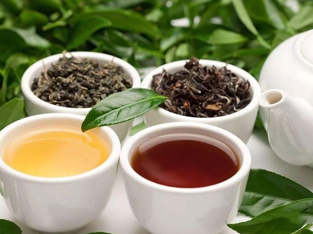 钱诗淇：这篇铁观音乌龙茶是红茶还是绿茶好干货